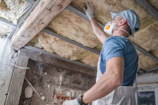 Best Insulation Contractor Near Me  in Swoyersville, PA