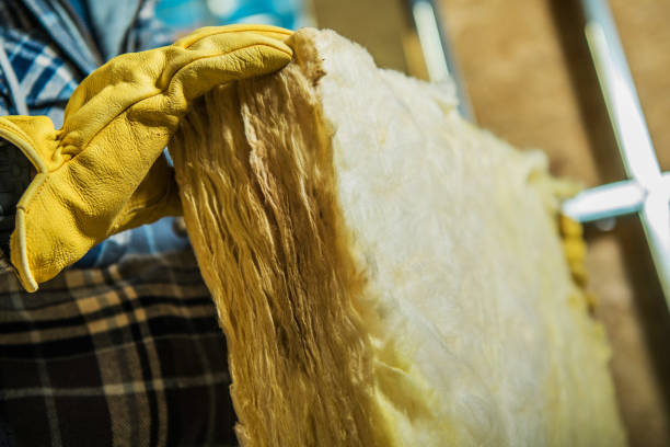 Professional Insulation Contractor in Swoyersville, PA