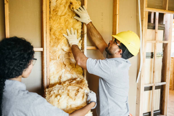 Best Home Insulation Services  in Swoyersville, PA